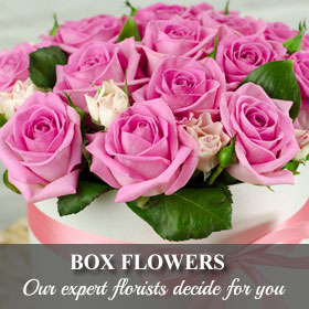 Box Flowers